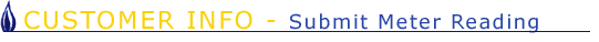 Customer Info - Submit Meter Reading